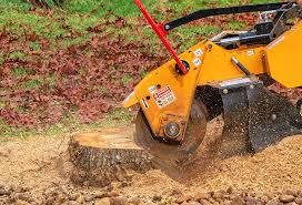 Mulching Services in Springmont, PA